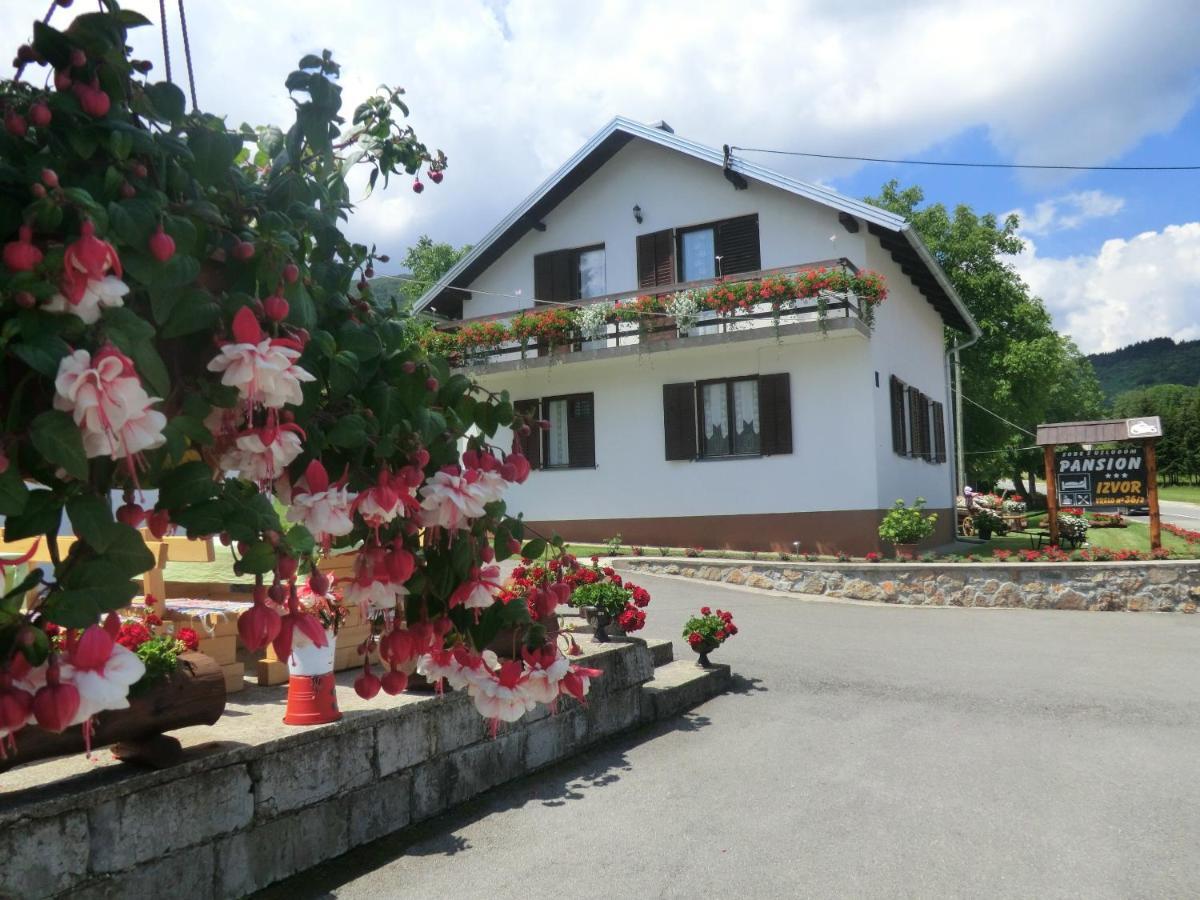 Hotel Pansion Izvor à Korenica Extérieur photo
